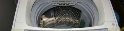 皮鞋可以水洗吗：皮鞋可以用洗衣机洗吗
