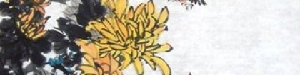 菊花的象征意义：菊花的象征意义是什么 菊花代表什么