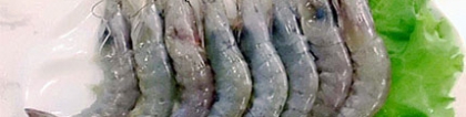 青虾的做法：青虾的做法